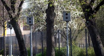 Noch eine halbe Million schriftliche Punkte-Abfragen in Flensburg