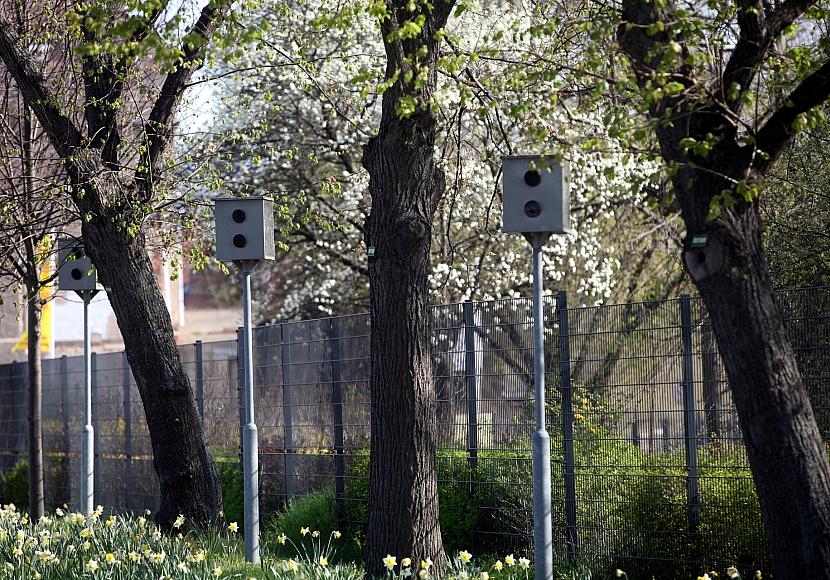 Noch eine halbe Million schriftliche Punkte-Abfragen in Flensburg