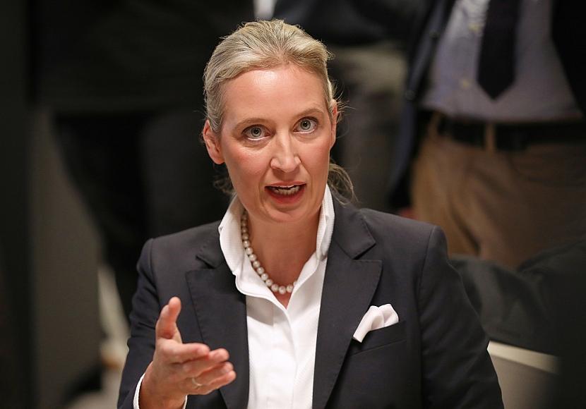 Weidel will nach Habeck-Absage Triell mit Scholz und Merz