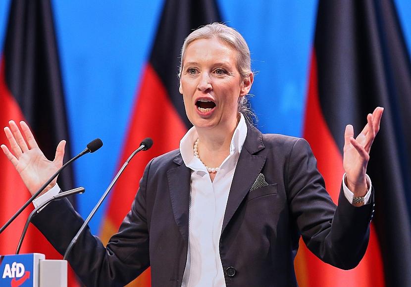 Weidel will Migrationsvorhaben der Union zustimmen